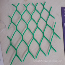 Green Color PP Plastic Woven Wire Mesh for Poultry